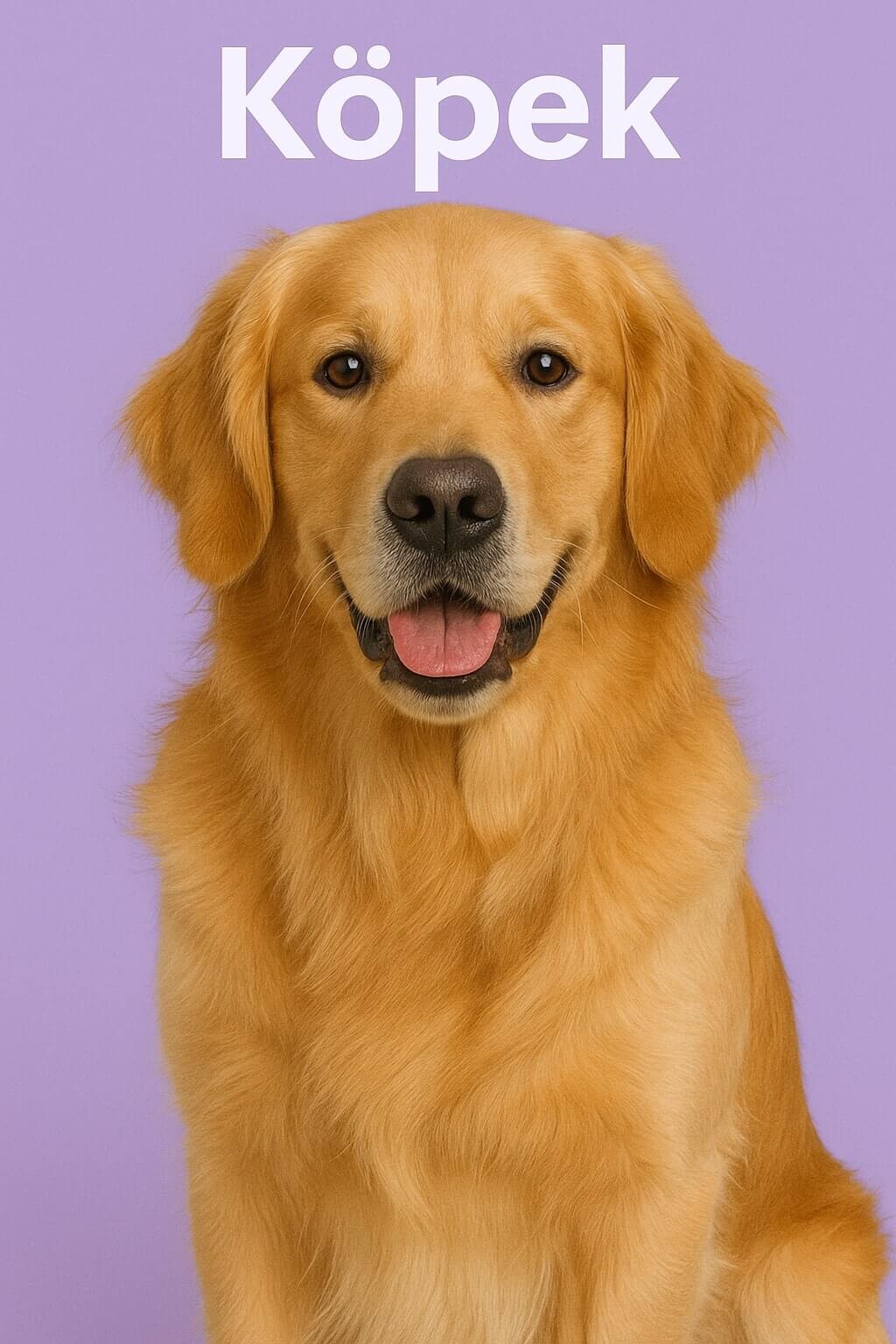 Köpek
